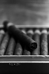 monochrome photo of large wooden box of cigars handmade Cuban