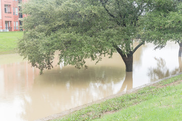 Swamped riverside pathway near riverside apartment complex backyard in suburban Dallas Fort Worth, Texas, USA. Live oak trees stand underwater