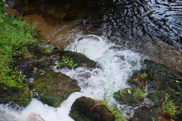 Kleiner idyllischer Wasserfall im Schwarzwald 