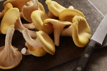 preparing fresh oyster mushrooms - obrazy, fototapety, plakaty
