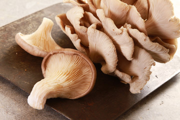 preparing fresh oyster mushrooms