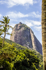 look of the neighborhood hooker in rio de janeiro