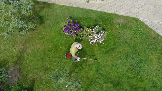 From height we see how gardener mows grass in garden