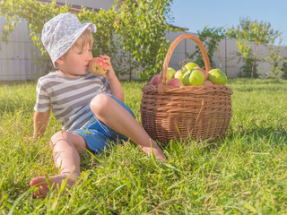 Juice production concept. Organic nutrition background. Child tasting green apple.