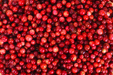 Background of bright red ripe berries