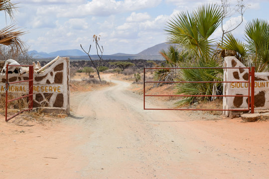 Game drive at Shaba National Reserve, Kenya