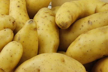Pommes de terre ratte