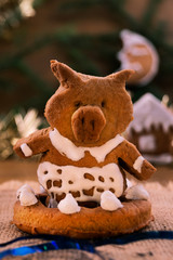 The figure of a pig, baked from shortbread on the background of Christmas decorations.