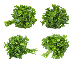 Set of fresh green parsley on white background