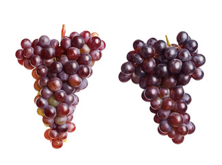 Set with juicy ripe grapes on white background