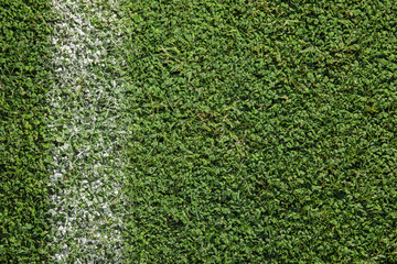 Fresh green football field grass as background