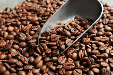 Pile of roasted coffee beans and scoop, closeup