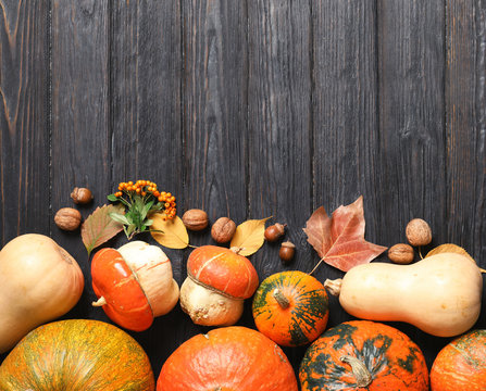 Flat lay composition with different pumpkins and space for text on wooden background. Autumn holidays