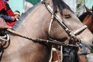 Fiestas patrias Chile