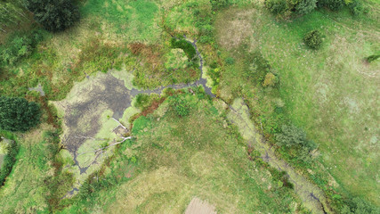 Small pond from the drone