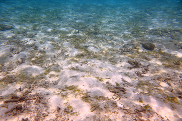 Beautiful view of dead coral reefs . Turquoise water and white sand background. Indian Ocean. Maldive islands.	