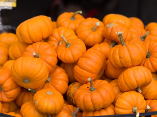 Orange halloween pumpkins