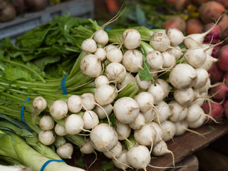 White turnip radish