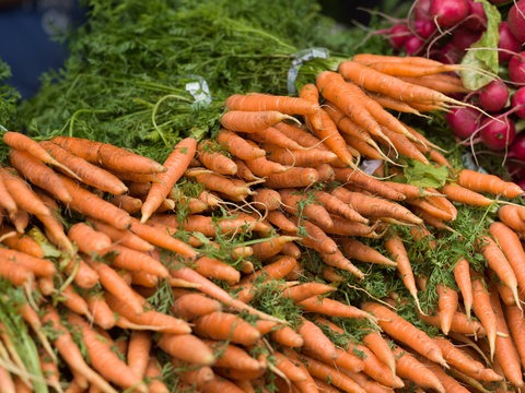 Fresh carrots in market