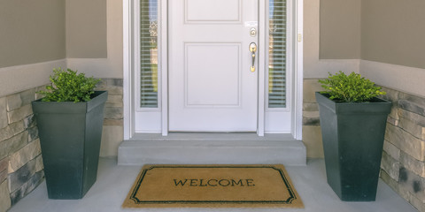 Front door with doormat plants and glass panel - obrazy, fototapety, plakaty