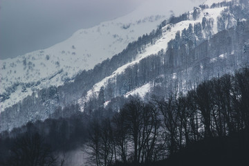 Beautiful snow-covered mountains in clouds and fog in winter