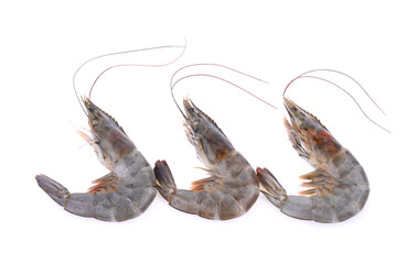 Raw prawns isolated on white background