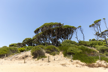 Red Rocks Beach on a sunny day, Phillip Island, Victoria, Australia