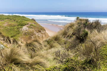 Grass on sand dunes behind Red Rocks Beach on a sunny day, Phillip Island, Victoria, Australia