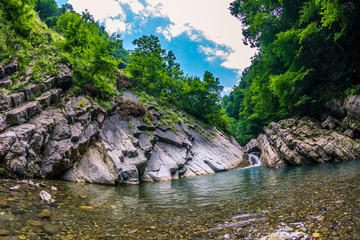 a river in the rocks among a green forest in the mountains