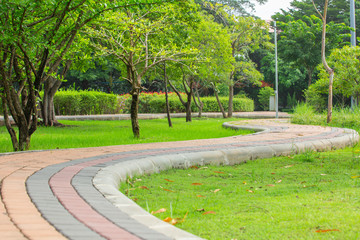 Winding path,walkway cuve on natural