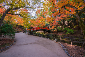 京都　北野天満宮　もみじ苑の紅葉