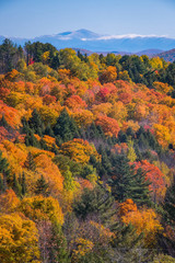 Fall Color in Vermont