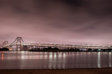 It is a night view of Odaiba in Japan. The cityscape of the city is beautiful.