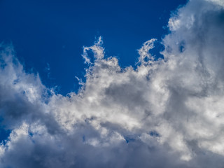 Naklejka na ściany i meble A white cloud is floating in a deep blue sky. It is a very beautiful landscape. It is fresh. It is a summer-like white cloud.