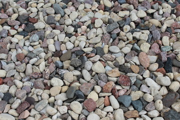 rock garden