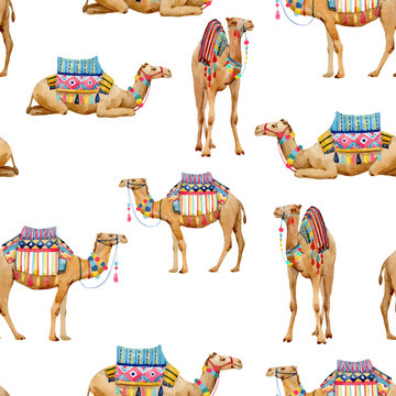 Watercolor camel vector pattern