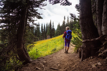 Obraz premium Girl hiking on a trail in nature during a vibrant sunny summer day. Taken in Garibaldi Provincial Park, located near Whister and Squamish, North of Vancouver, BC, Canada.