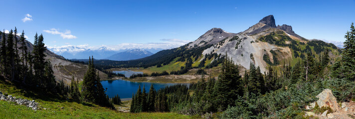 Beautiful panoramic Canadian Mountain Landscape view during a vibrant sunny summer day. Taken in Garibaldi Provincial Park, located near Whister and Squamish, North of Vancouver, BC, Canada.