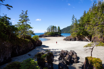 Beautiful view on the Pacific Ocean Coast during a sunny summer day. Taken in San Josef Beach, Cape Scott, Vancouver Island, BC, Canada.
