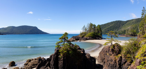 Beautiful panoramic view of sandy beach on Pacific Ocean Coast. Taken in San Josef Bay, Cape Scott Provincial Park, Northern Vancouver Island, BC, Canada.