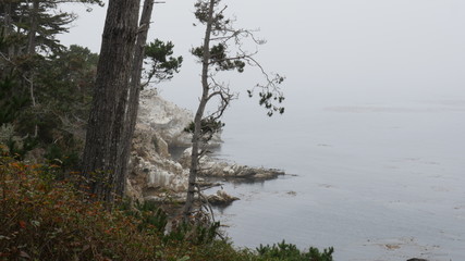 Point Lobos State Natural Reserve, Carmel California USA