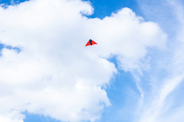 Kite in the sky