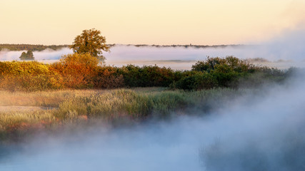 Poranne mgły w Dolinie Górnej Narwi © podlaski49