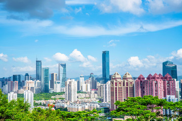 Obraz premium Shenzhen real estate real estate