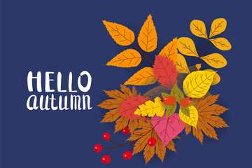 Hello Autumn, background with falling leaves, yellow, orange, brown, fall, lettering, template for poster, banner, vector, isolated