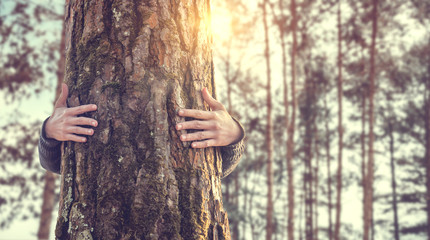 Closeup hands of woman hugging tree with sunlight