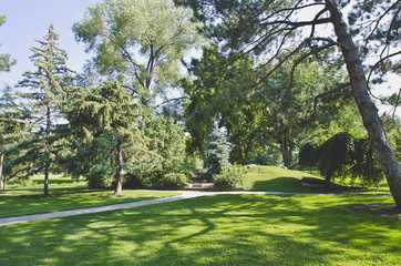 The green grass and cool shade under the trees and sun light of the local park. 