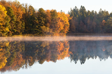 Autumn fog on the lake