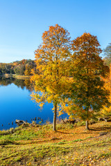 View of a lake in the autumn