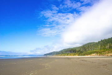 Coastal Ocean Beach Blue Sky Clouds Reflections and Sea Birds 